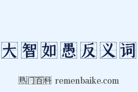 大智如愚反义词是什么意思的图片